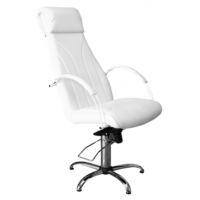 Kosmetiko kėdė (Lenkija)