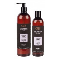 AB „Shine“ šampūnas dažytiems plaukams, 250/500 ml