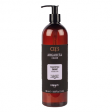 Shine šampūnas dažytiems plaukams, 500 ml