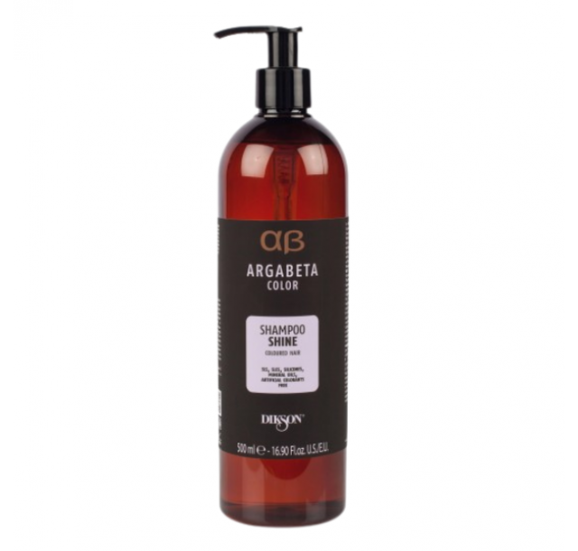 Shine šampūnas dažytiems plaukams, 500 ml