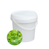 Alginatinė kaukė su ginkmedžiu nuo kuperozės, 400 g