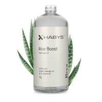 Alavijų aromato masažinis saldžiųjų migdolų aliejus „Aloe Boost“, 1000 ml