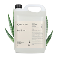 Alavijų aromato masažinis saldžiųjų migdolų aliejus „Aloe Boost“, 5 l