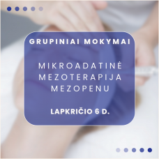 11.06 d. KAUNAS | Mikroadatinė mezoterapija mezopenu + demonstracija